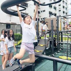 Gallery-21 Child climbing outdoor playground structure during physical education
